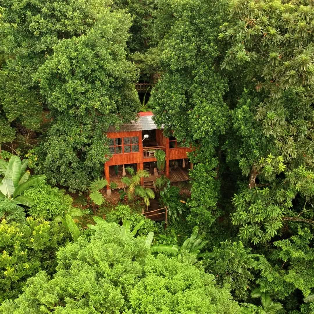Vista aérea de la cabaña entre la selva