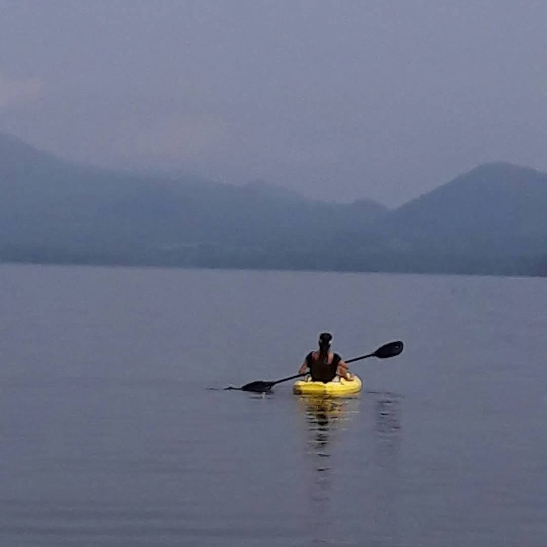 Kayaks amarillos en el campo junto a caballos